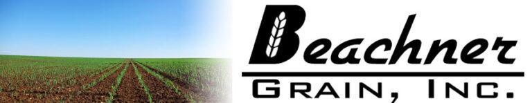 Beachner Grain logo